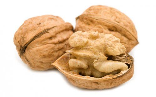 NUECES