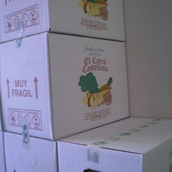 EL CARRO CASTELLANO